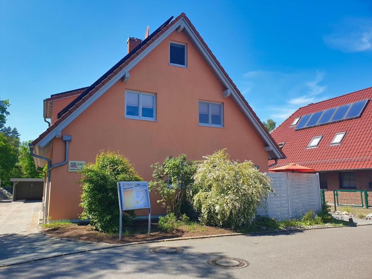 Moderne Fewo Nr 4 Mit Balkon, Sauna Im Haus, Garten - Ferienwohnungen Am Wald Klein Gelm エクステリア 写真